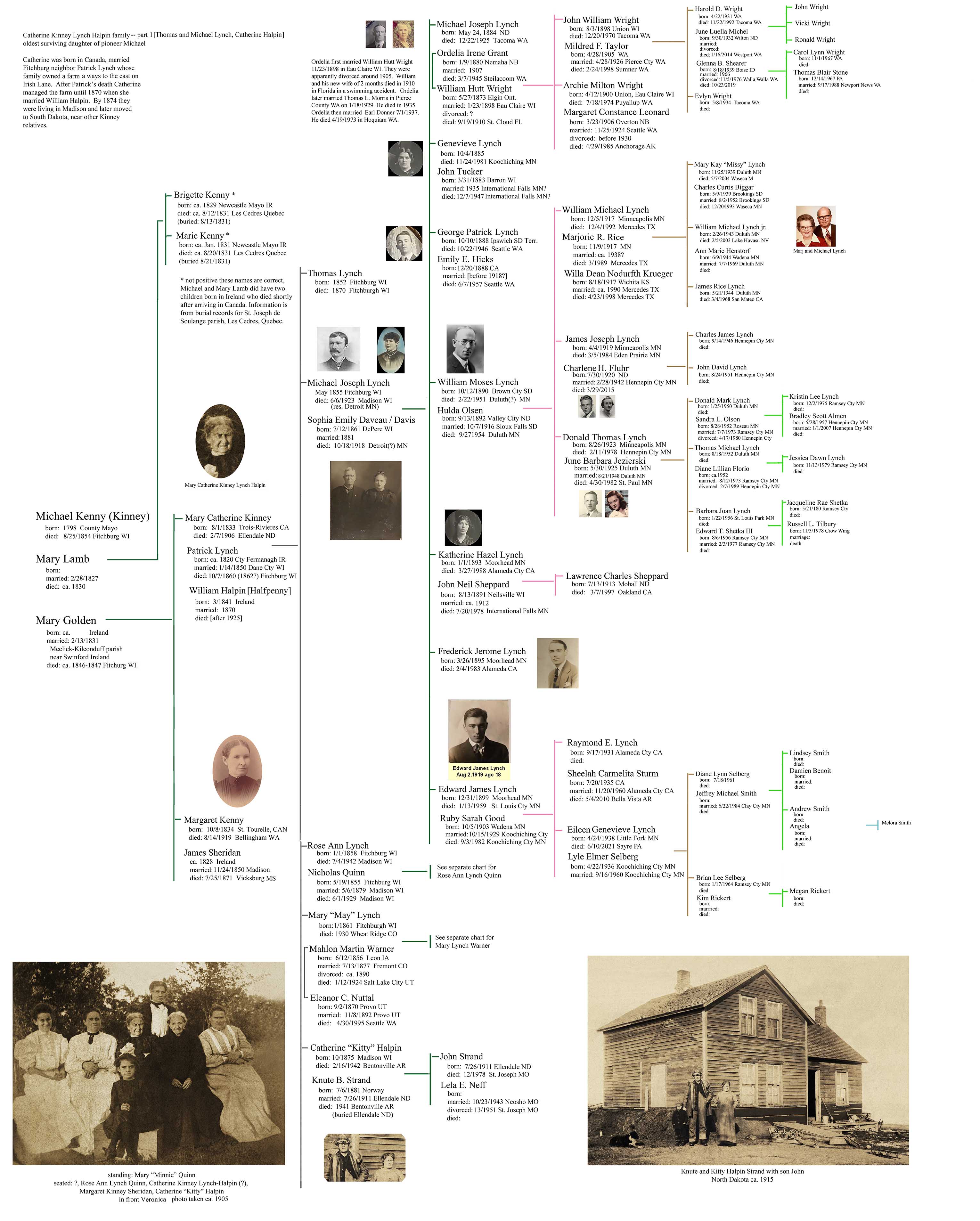 famlily chart Catherine Kiney Lynch-Halpin