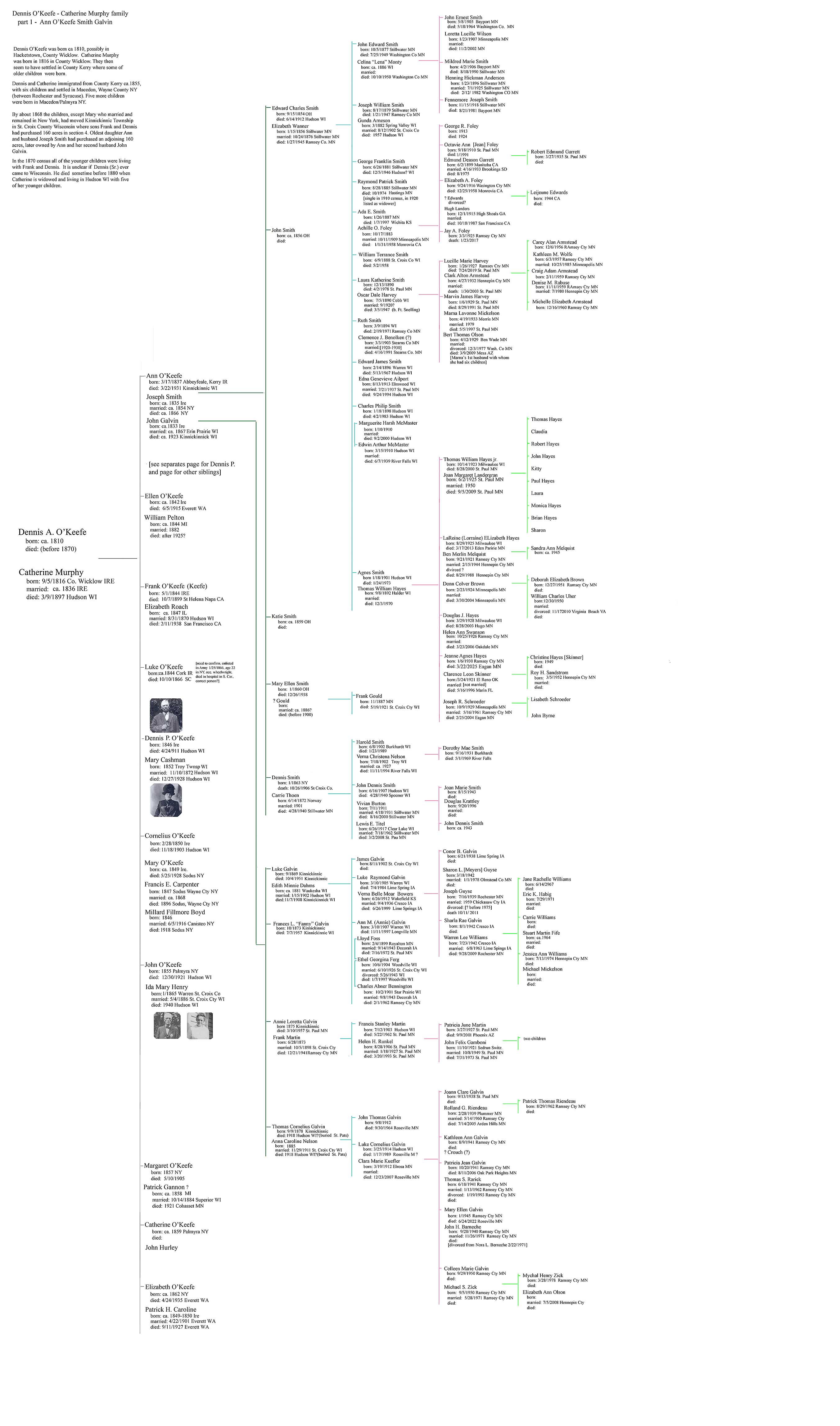 O'Keefe family Charts: Ann O'Keefe Galvin
